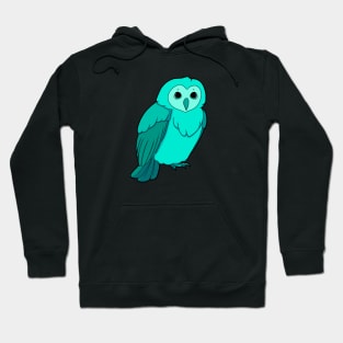 Seafoam Owl Hoodie